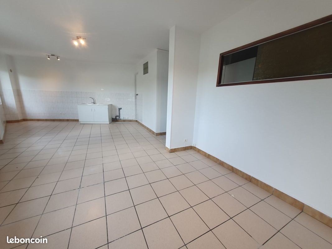 Appartement à louer, 43m², Condrieu