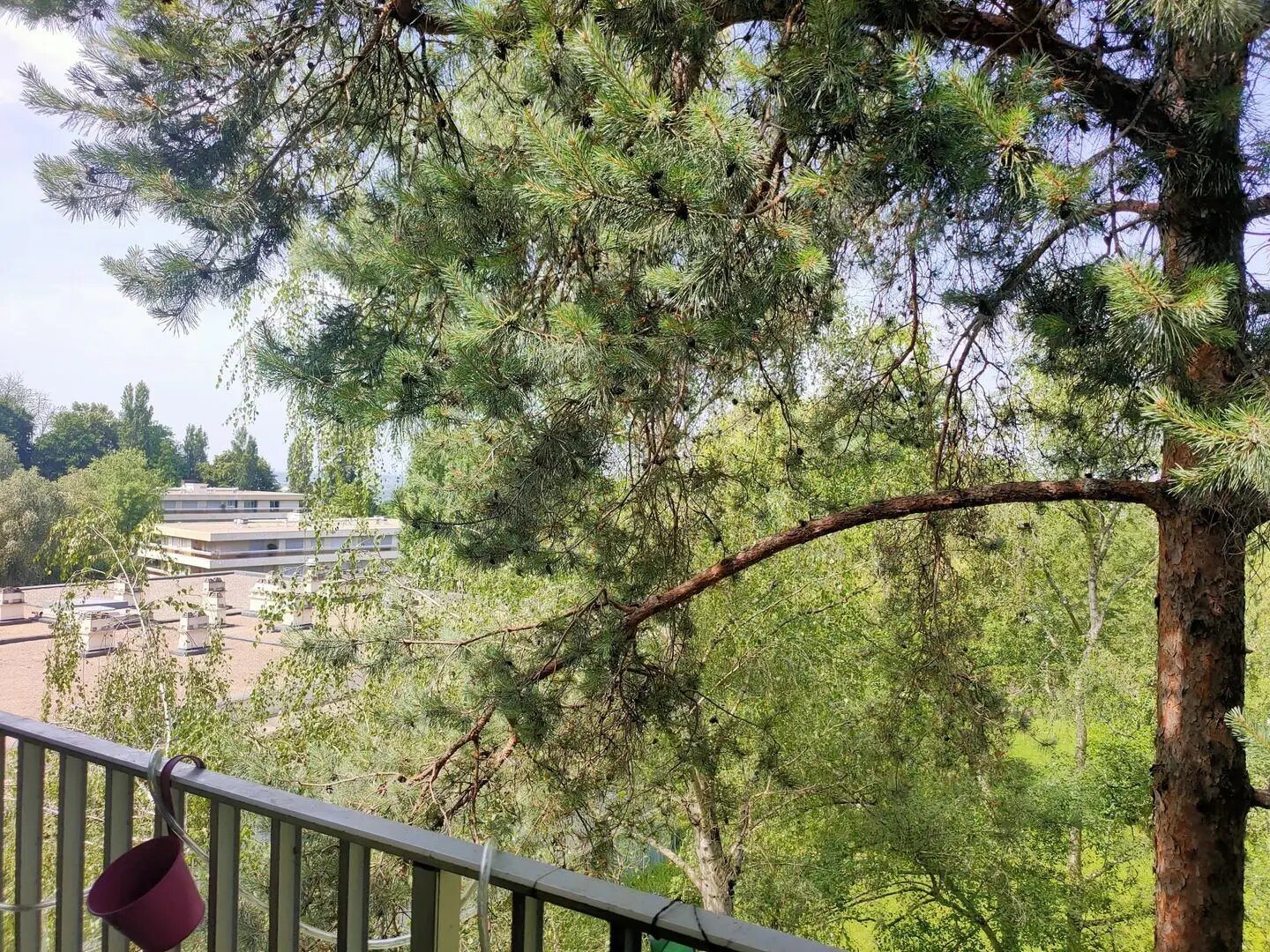 Appartement à louer, 105m², La Celle-Saint-Cloud