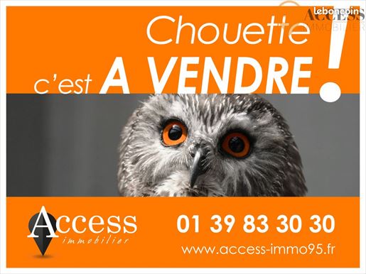 Advert pic 0