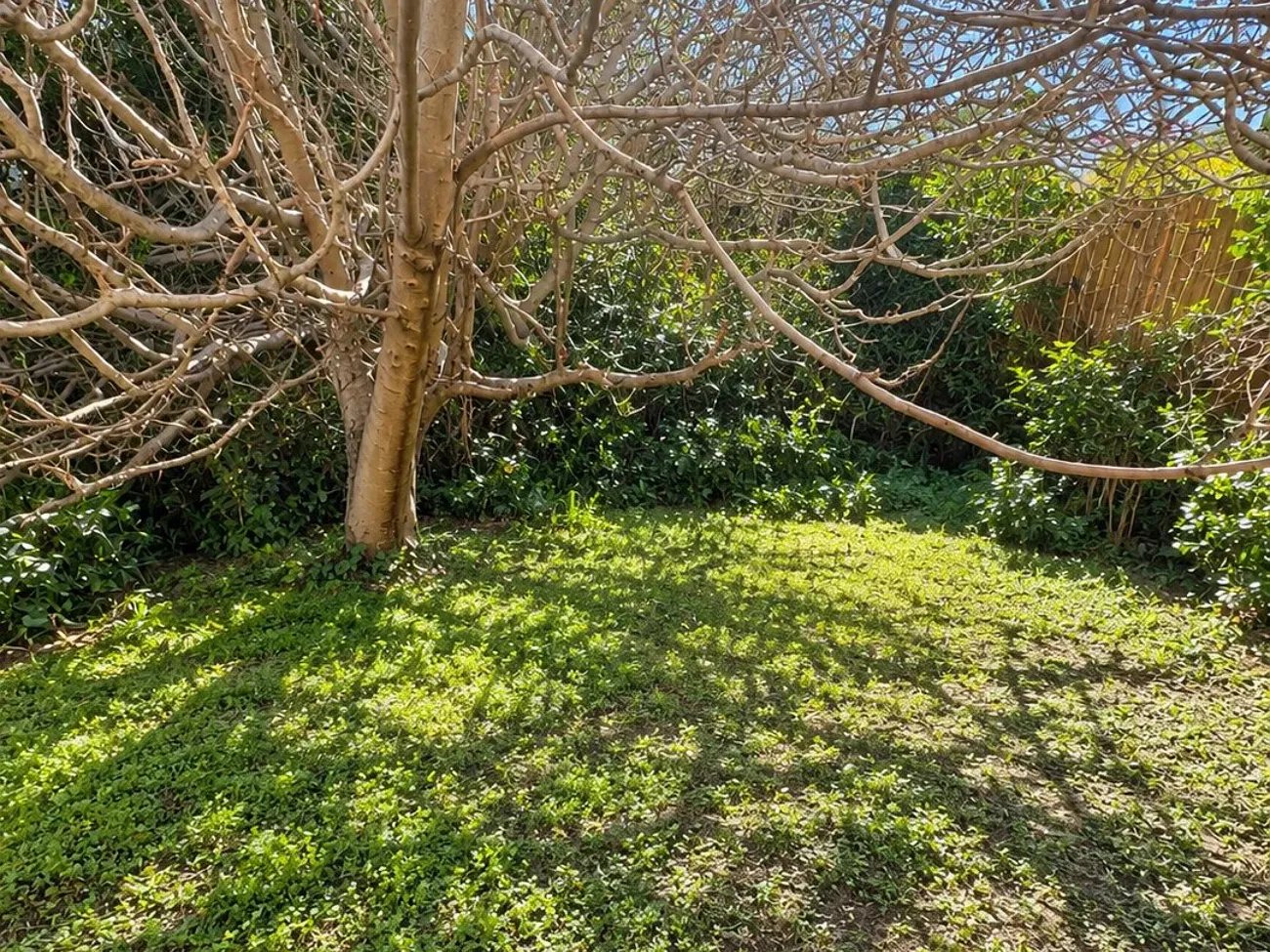 Maison à vendre, 1m², Perpignan