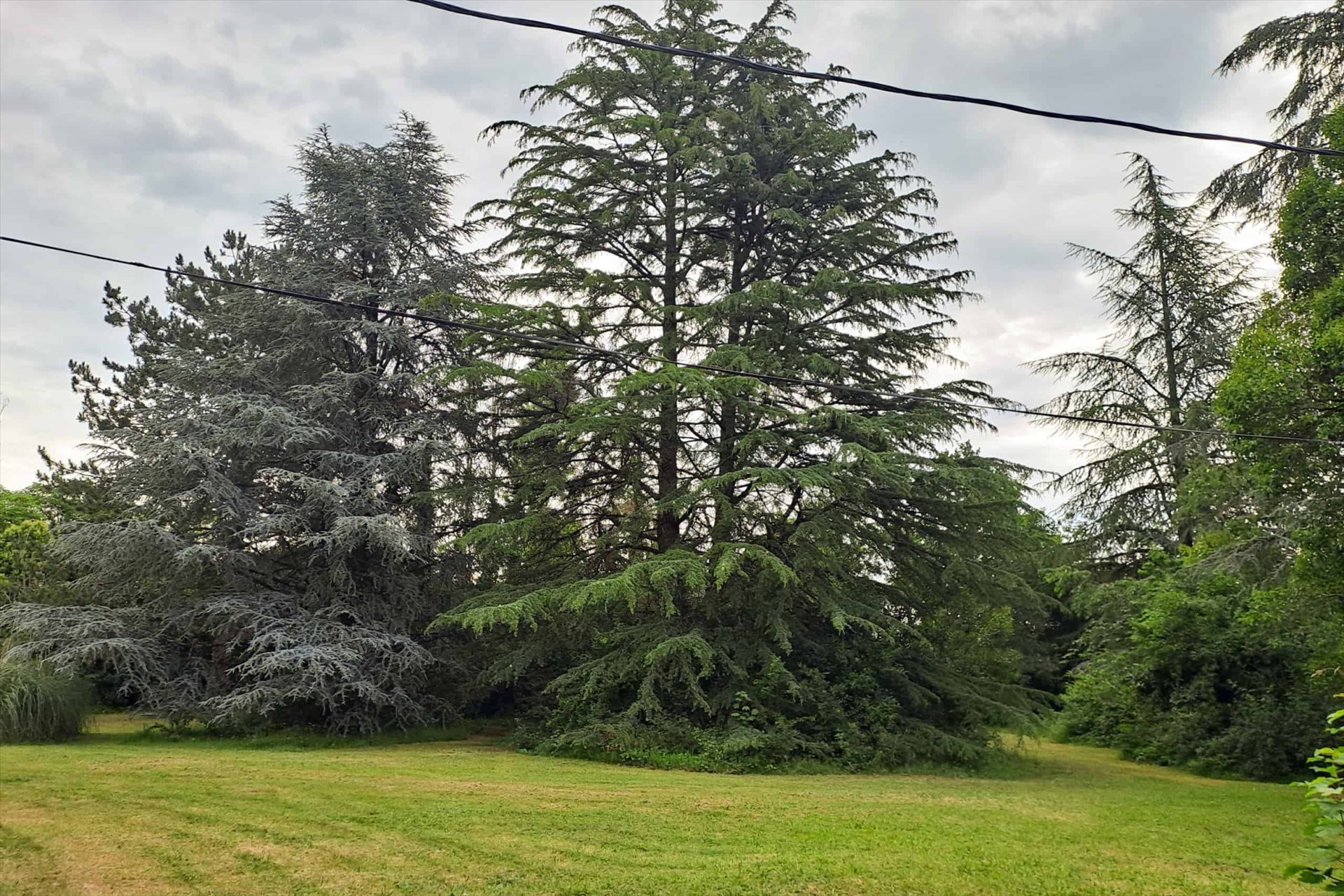 Maison à vendre, 212m², Laroque-Timbaut