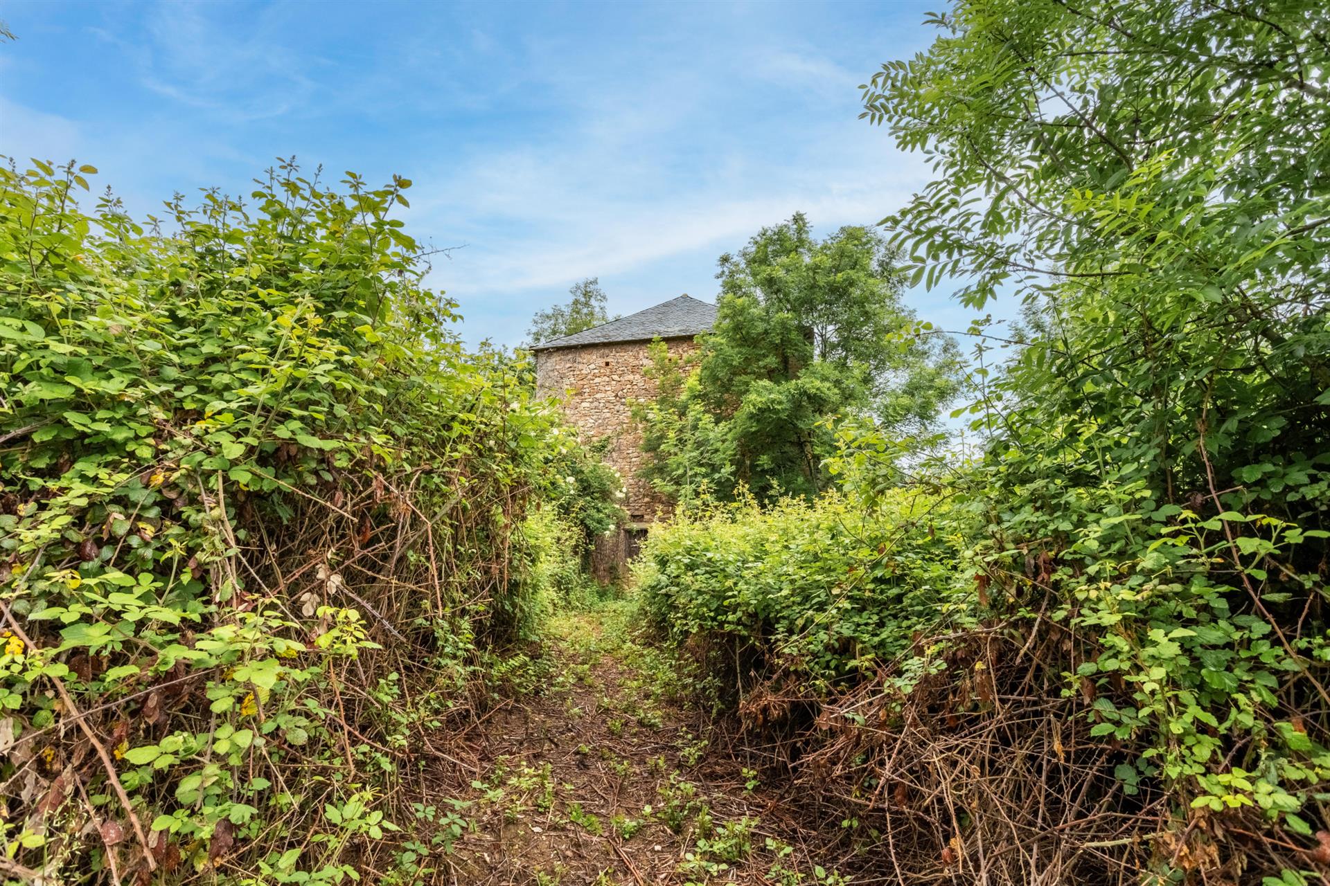 Maison à vendre, 264m², Cordes-sur-Ciel