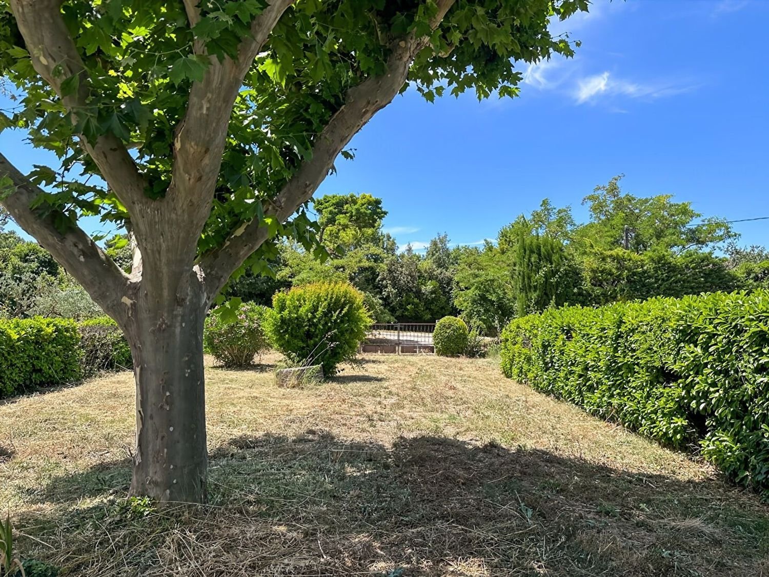 Maison à vendre, 110m², Mas-Blanc-des-Alpilles