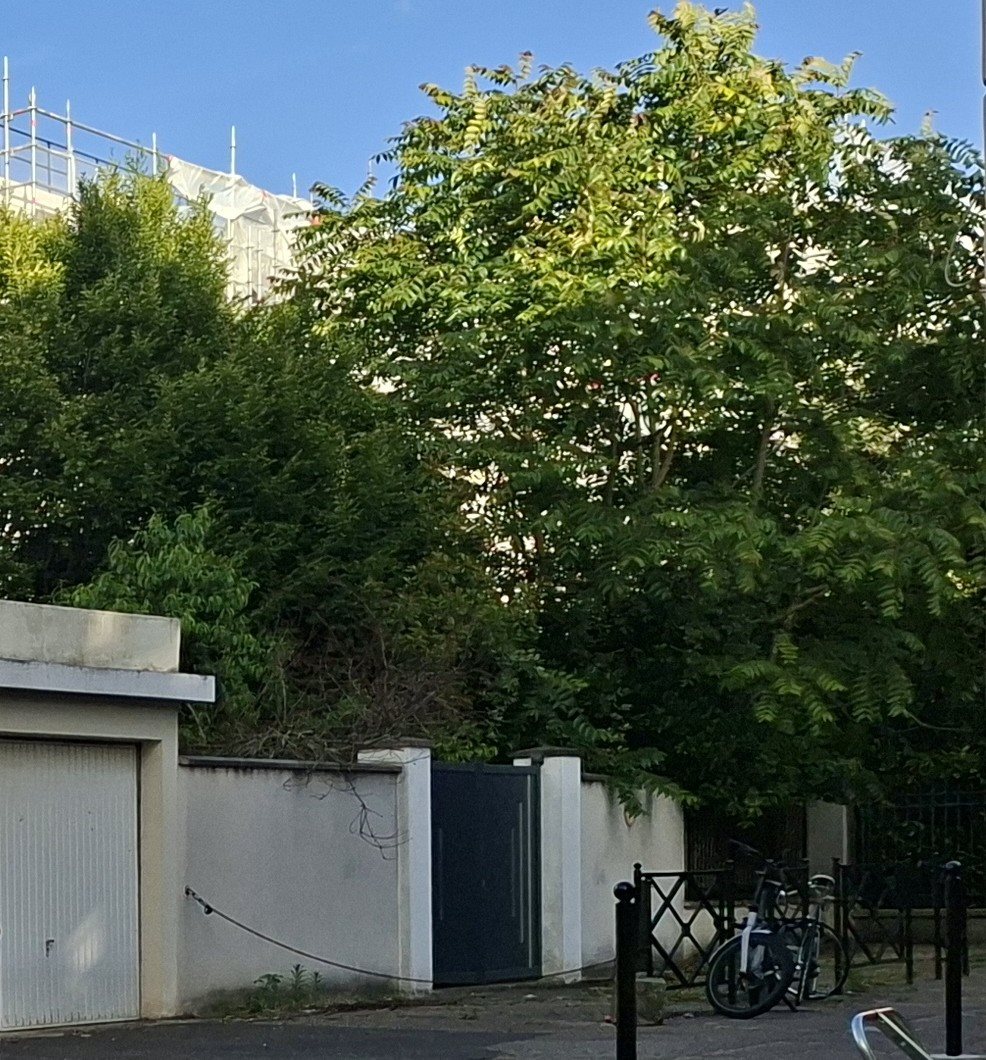 Maison à vendre, 300m², Courbevoie