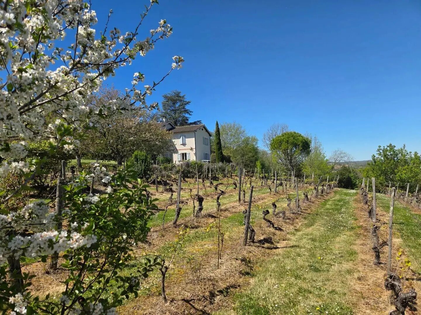 Maison à vendre, 185m², Molières