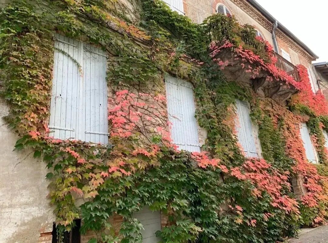 Maison à vendre, 429m², Molières