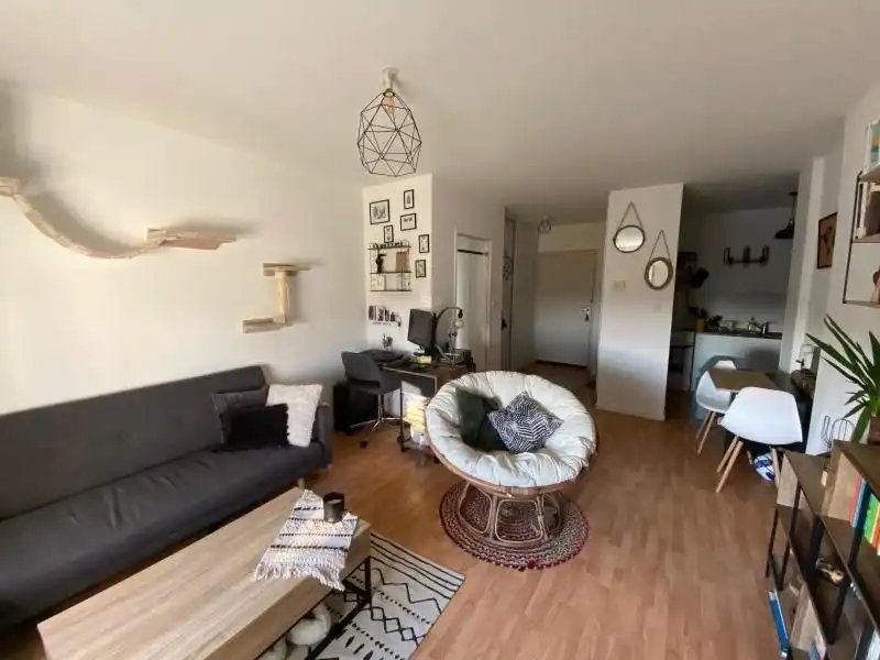 Appartement à louer, 50m², Angers