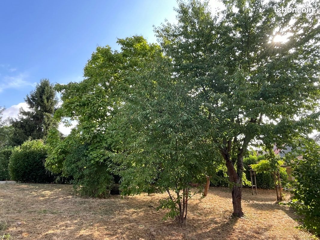 Maison à vendre, 87m², Villeneuve-sur-Bellot
