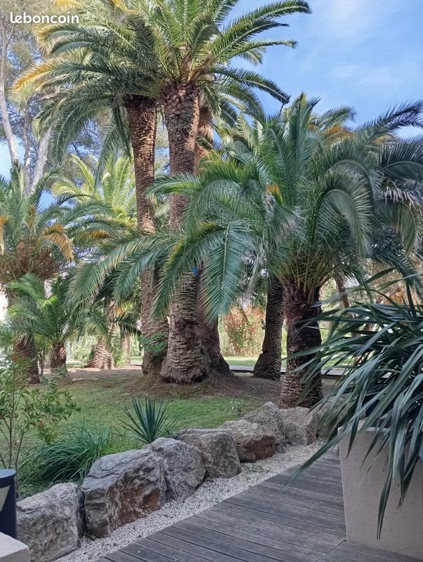 Appartement à louer, 38m², Saint-Raphaël
