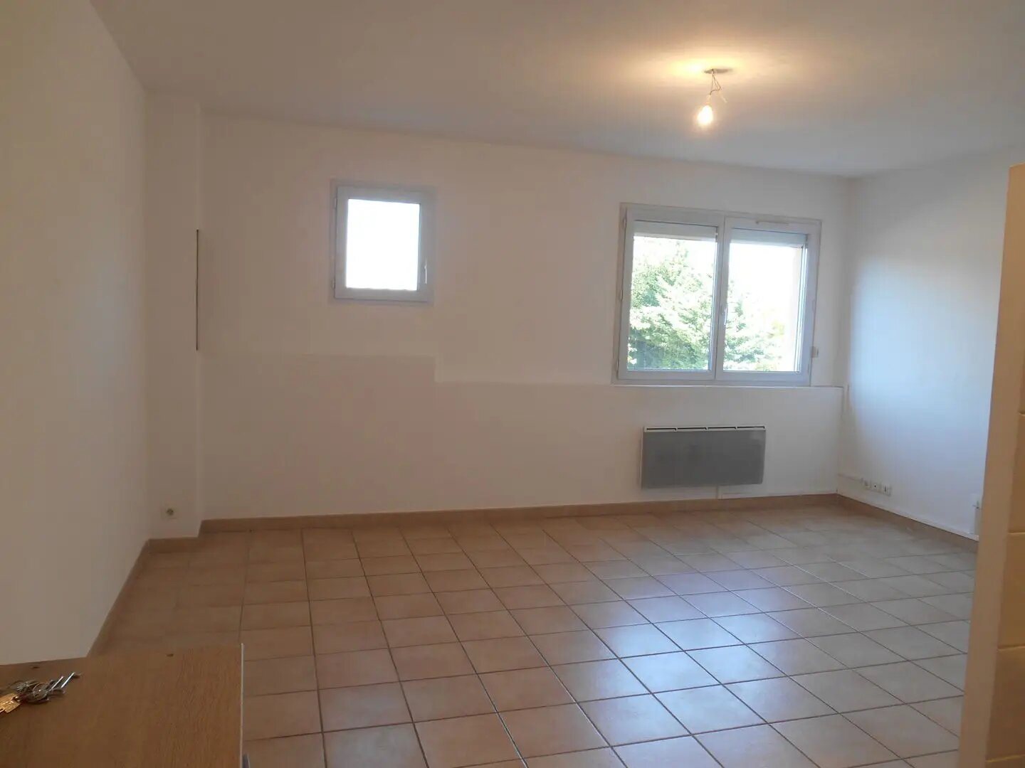 Appartement à louer, 46m², Jonquerettes