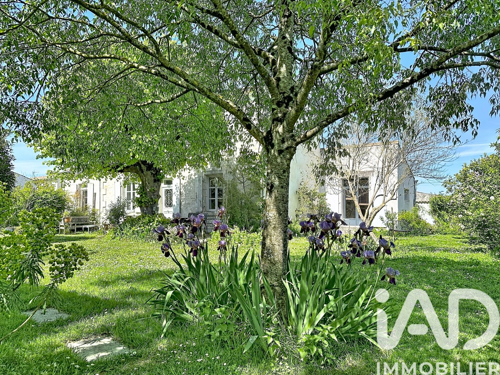 Maison à vendre, 250m², Courçon