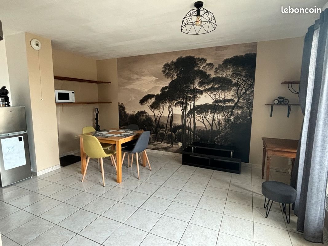 Appartement à louer, 42m², Tours