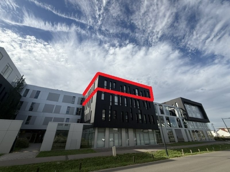 Maison à louer, 643m², Anzin