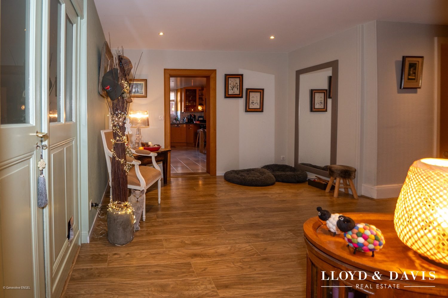 Appartement à vendre, 230m², Riedisheim