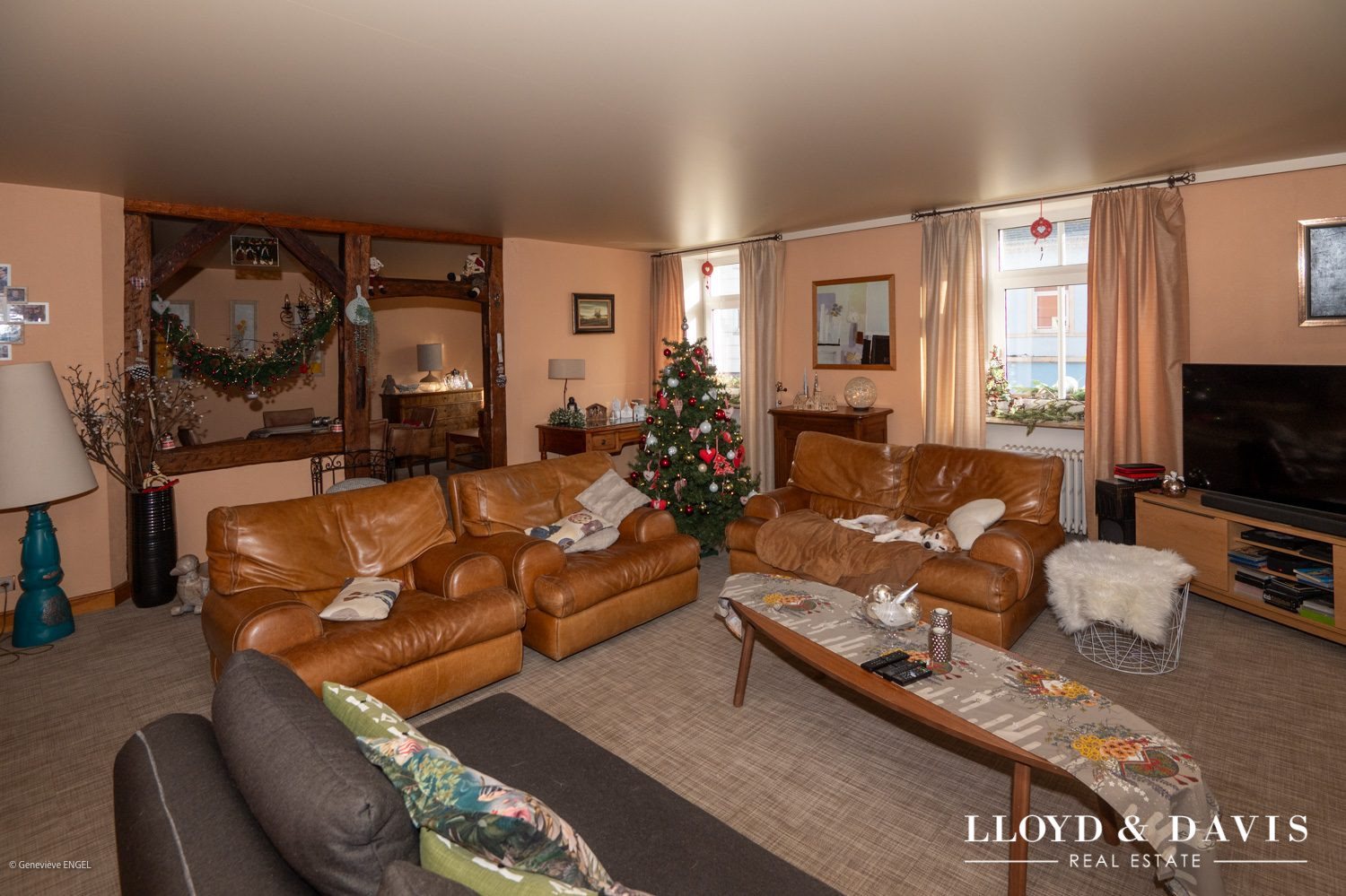 Appartement à vendre, 230m², Riedisheim
