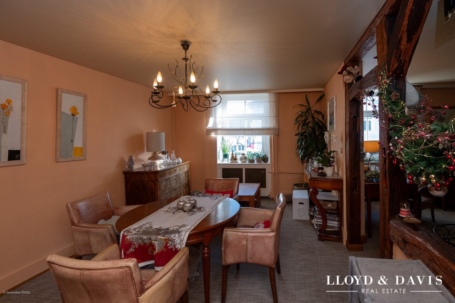 Appartement à vendre, 230m², Riedisheim