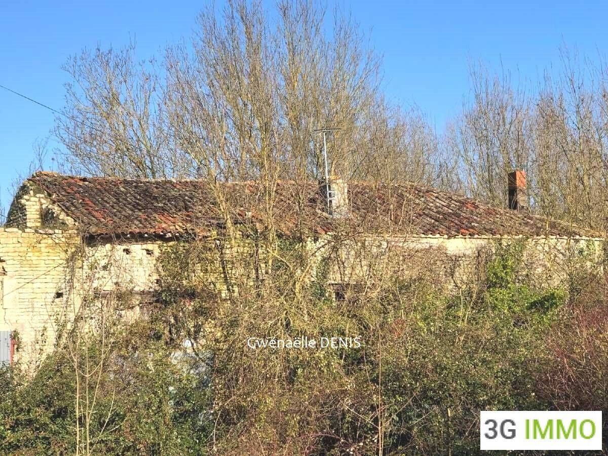 Maison à vendre, 250m², Paizay-le-Chapt