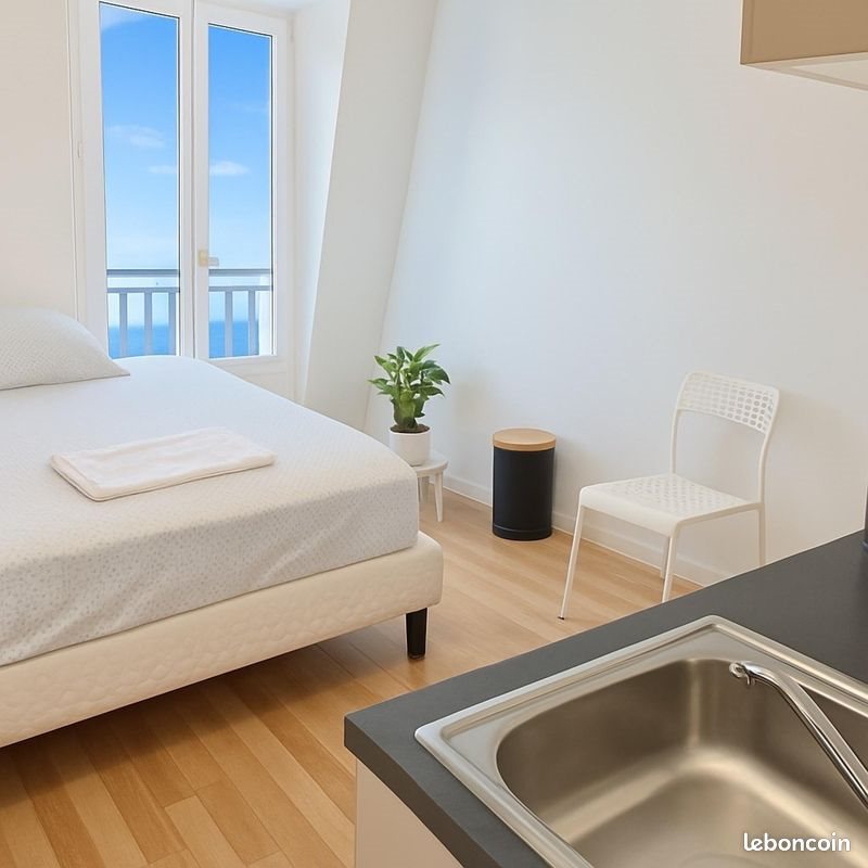 Appartement à vendre, 11m², Paris 15ème