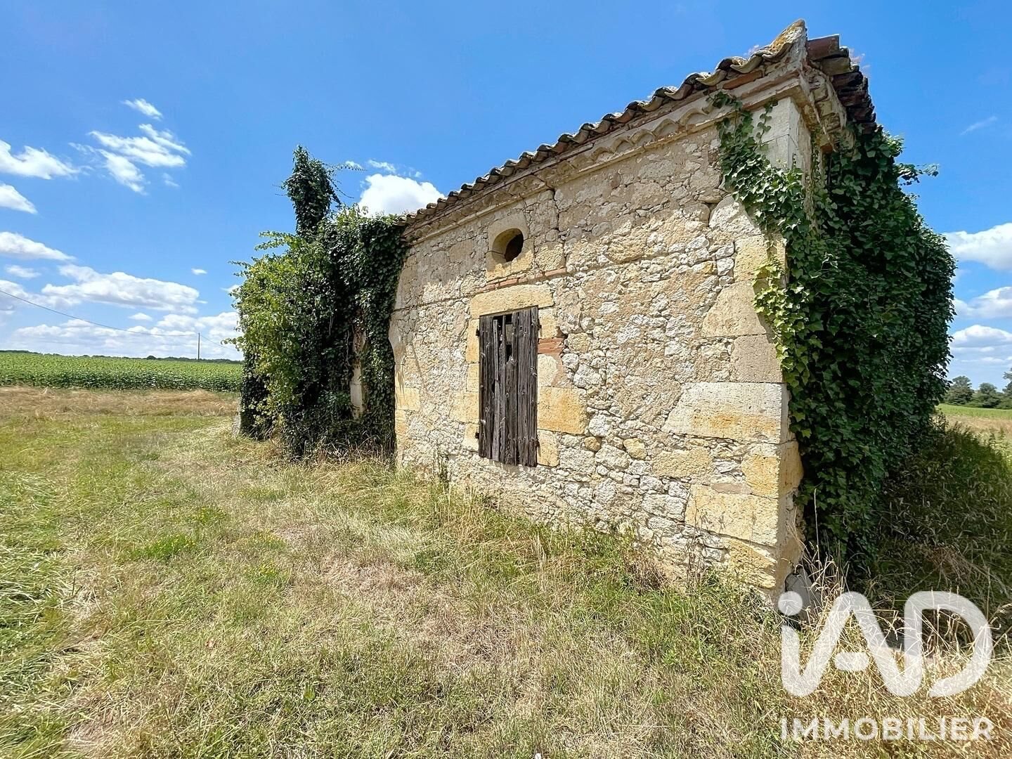 Maison à vendre, 200m², Saint-Cirice