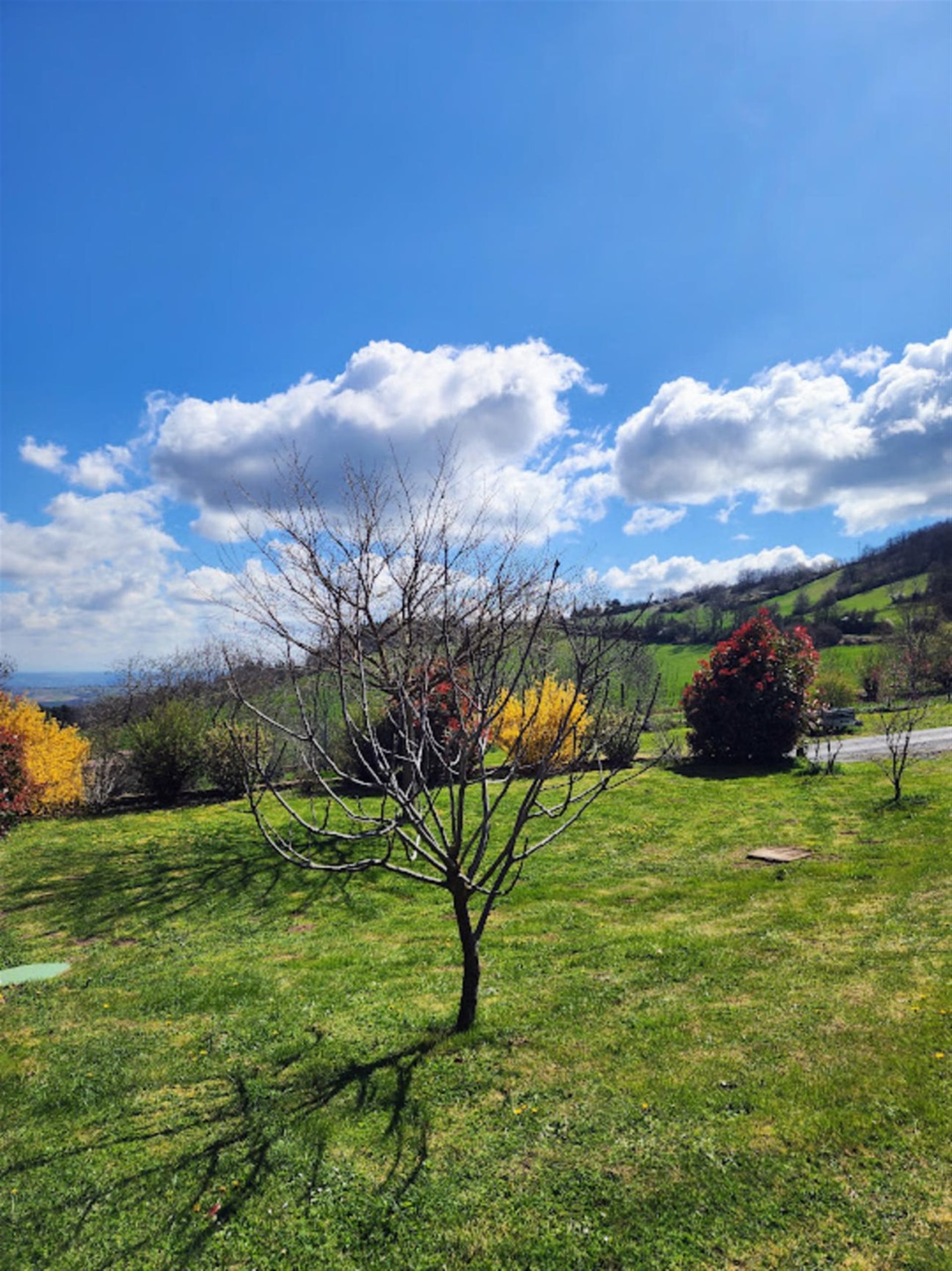 Maison à vendre, 161m², Ville-sur-Jarnioux