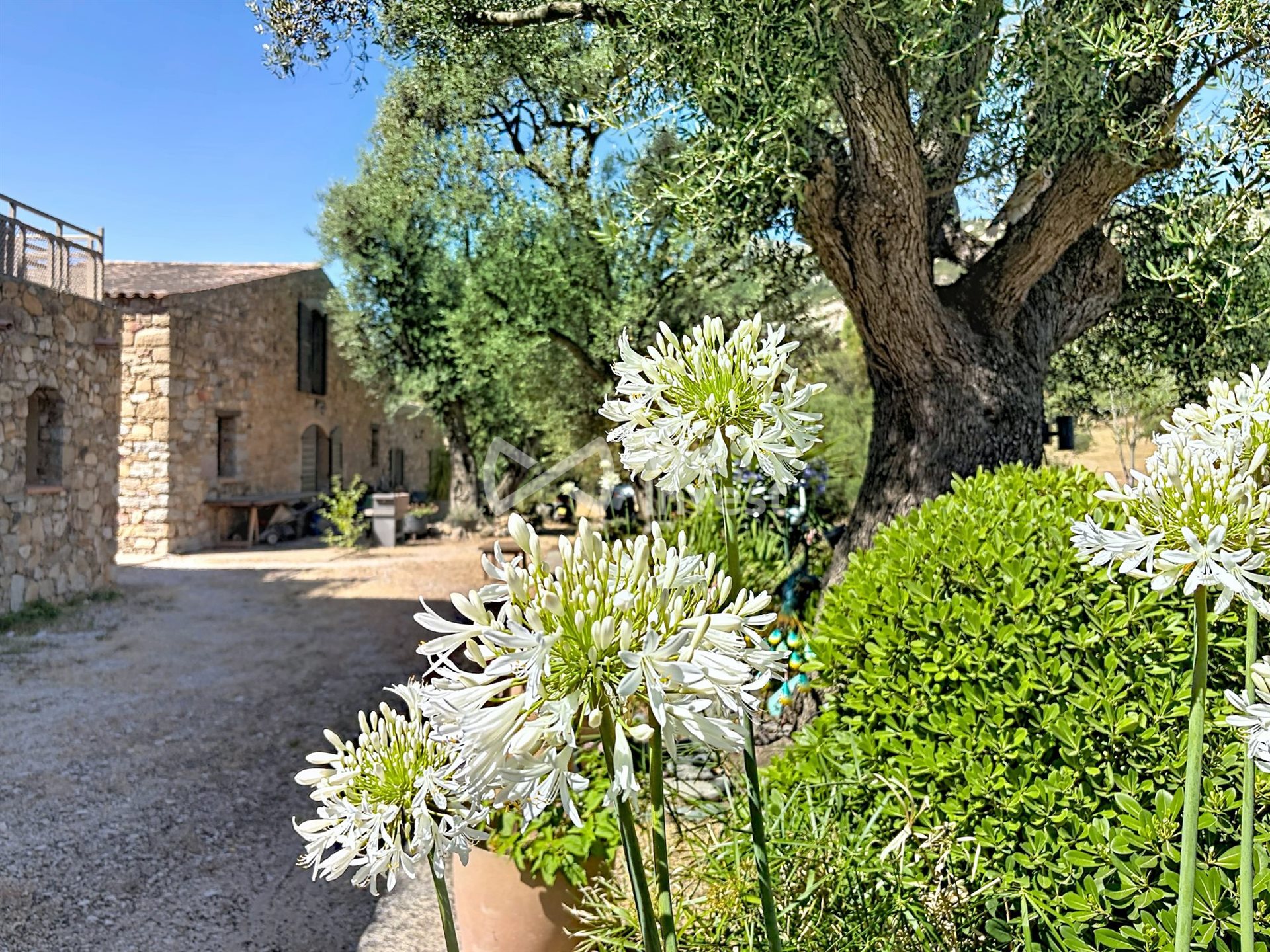 Maison à vendre, 443m², Calvi