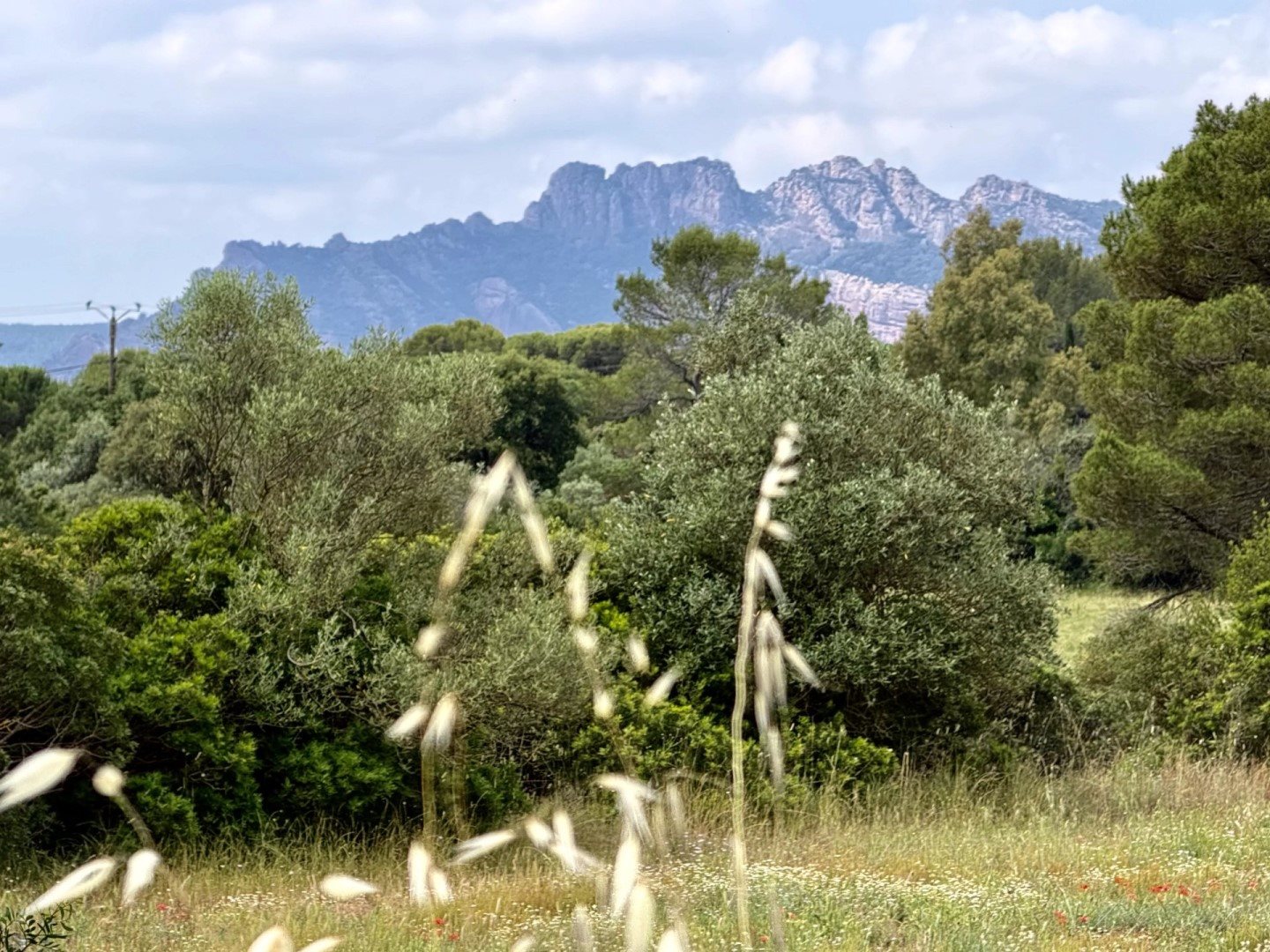 Appartement à vendre, 149m², Roquebrune-sur-Argens