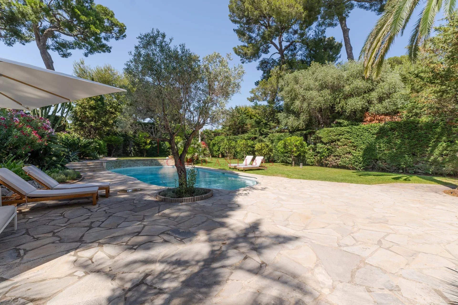Maison à louer, 260m², Antibes