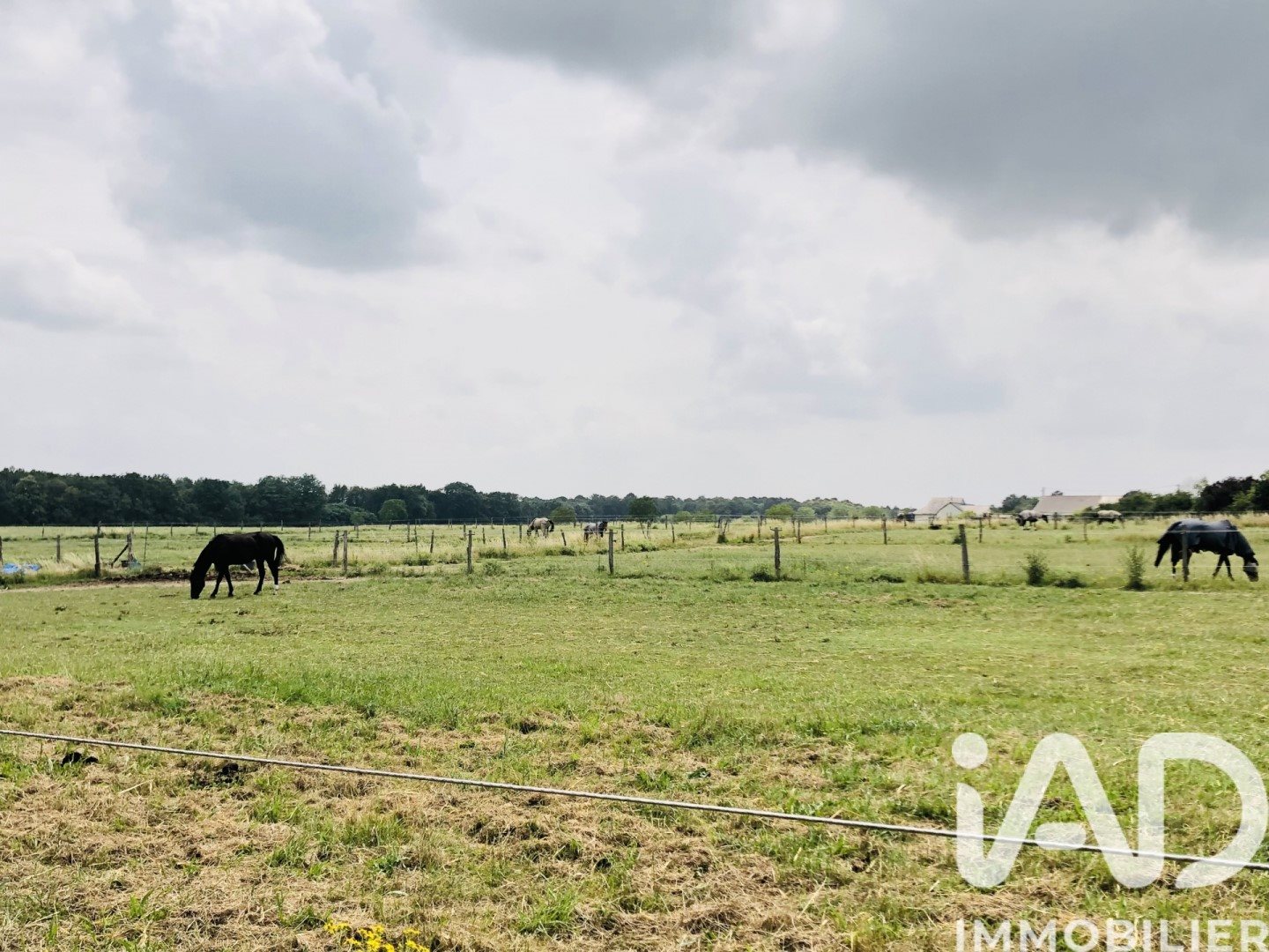 Maison à vendre, 353m², Chanverrie