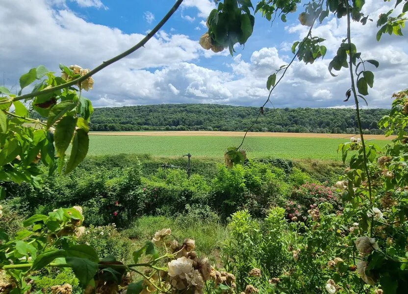 Maison à vendre, 370m², Chamigny