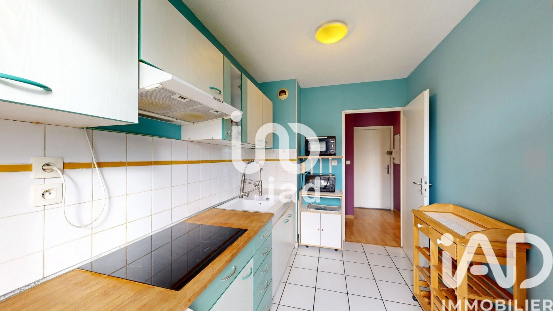 Appartement à vendre, 50m², Blagnac