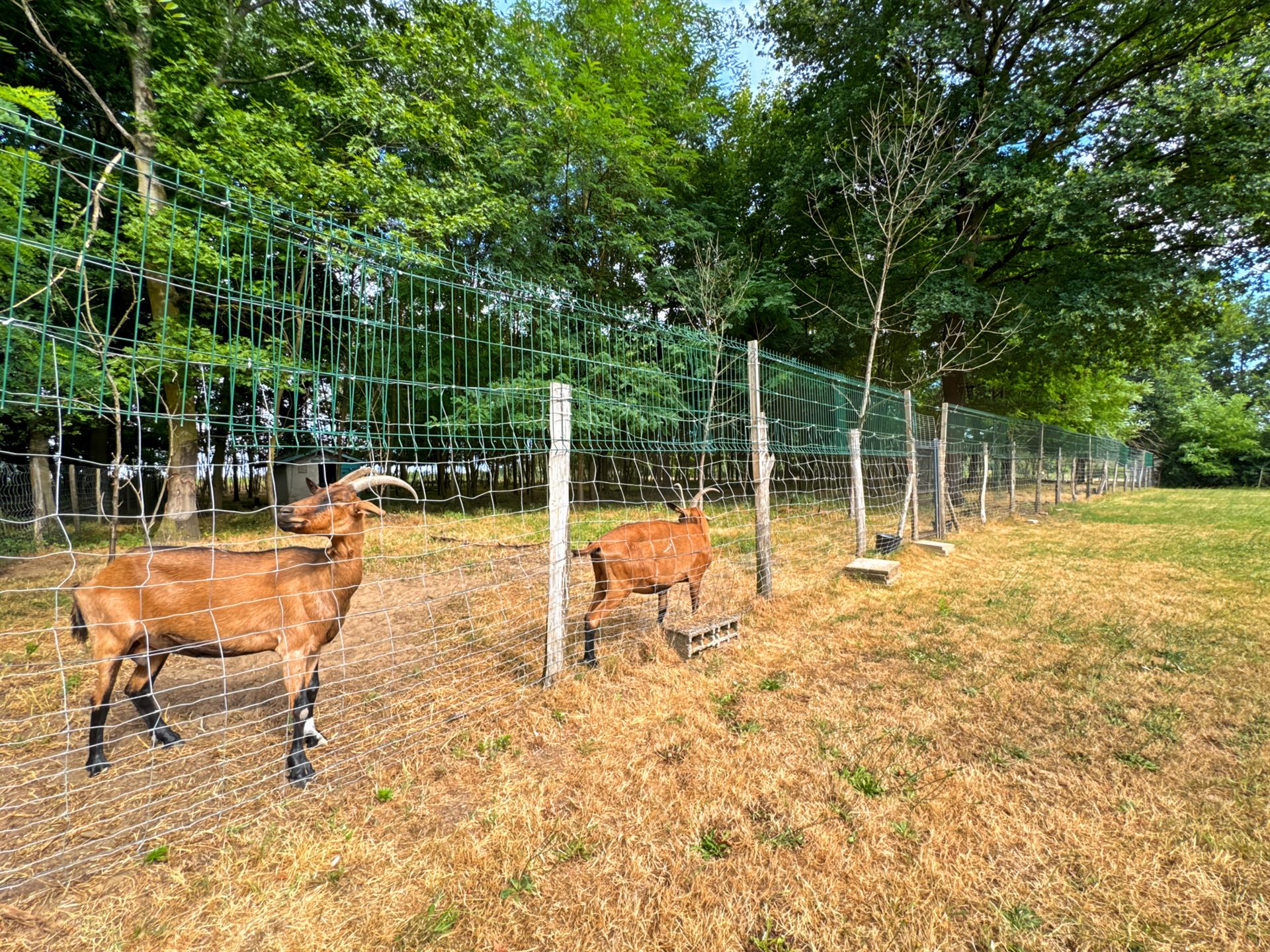 Maison à vendre, 250m², Montmerle-sur-Saône