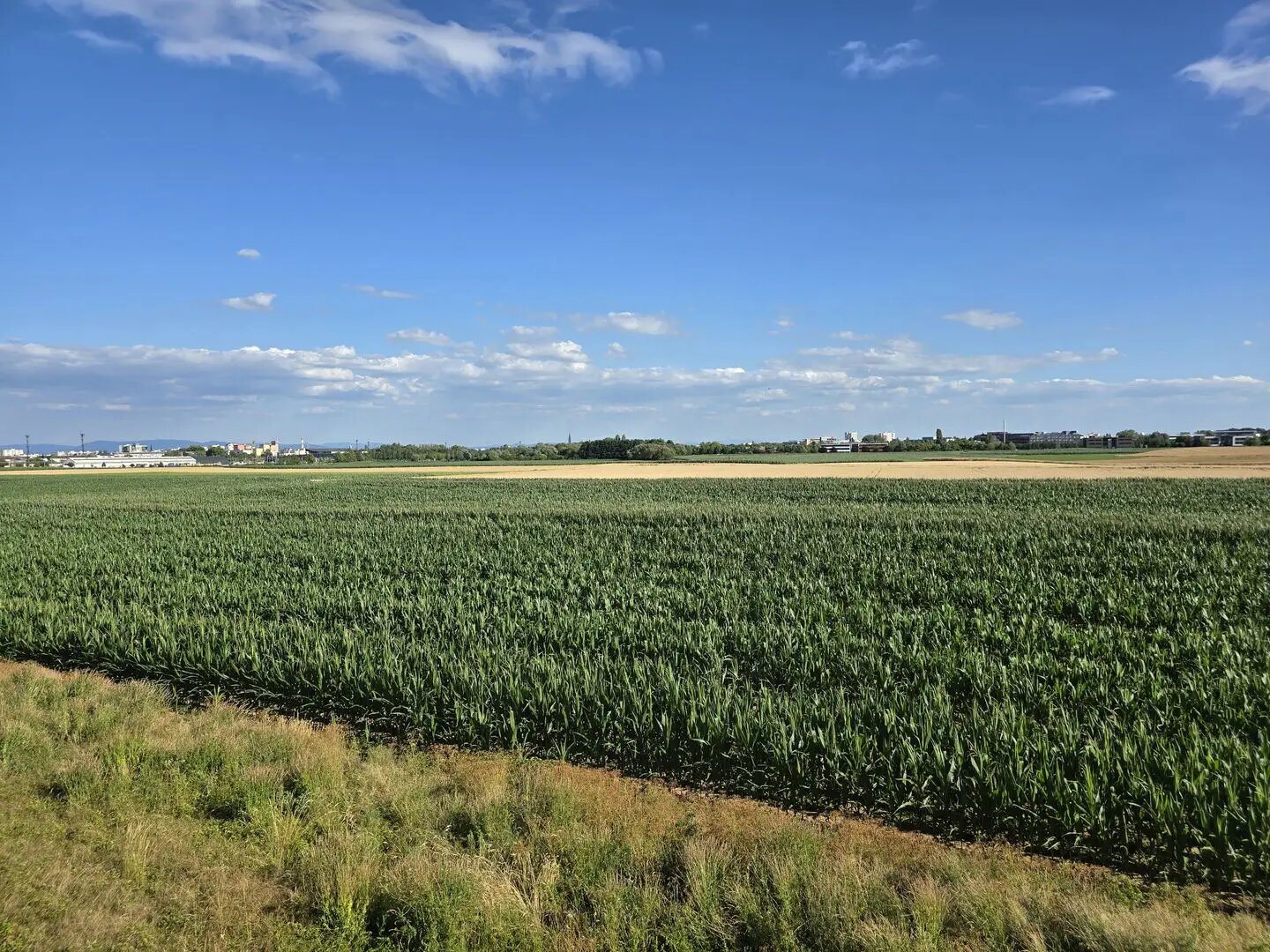 Maison à vendre, 113m², Niederhausbergen