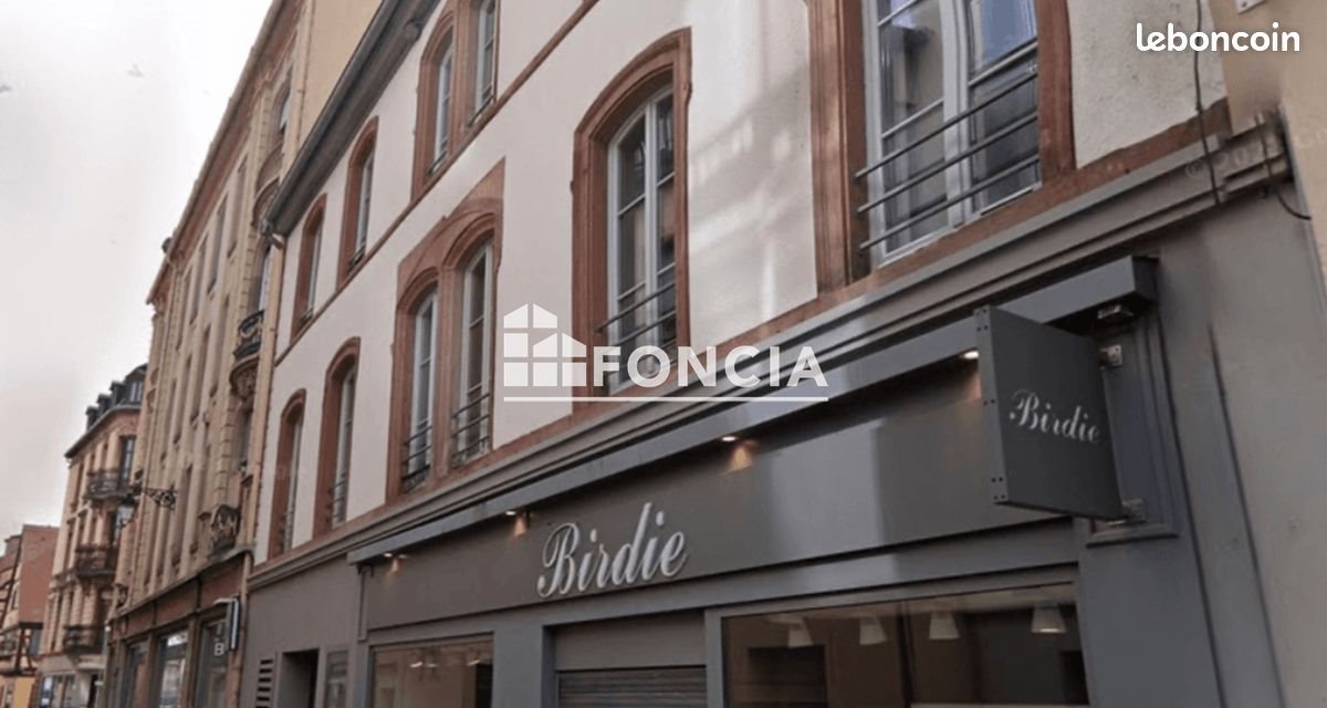 Appartement à vendre, 69m², Colmar