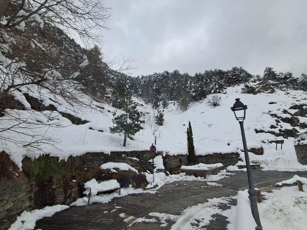 Land for sale in La Massana · 2 of 3