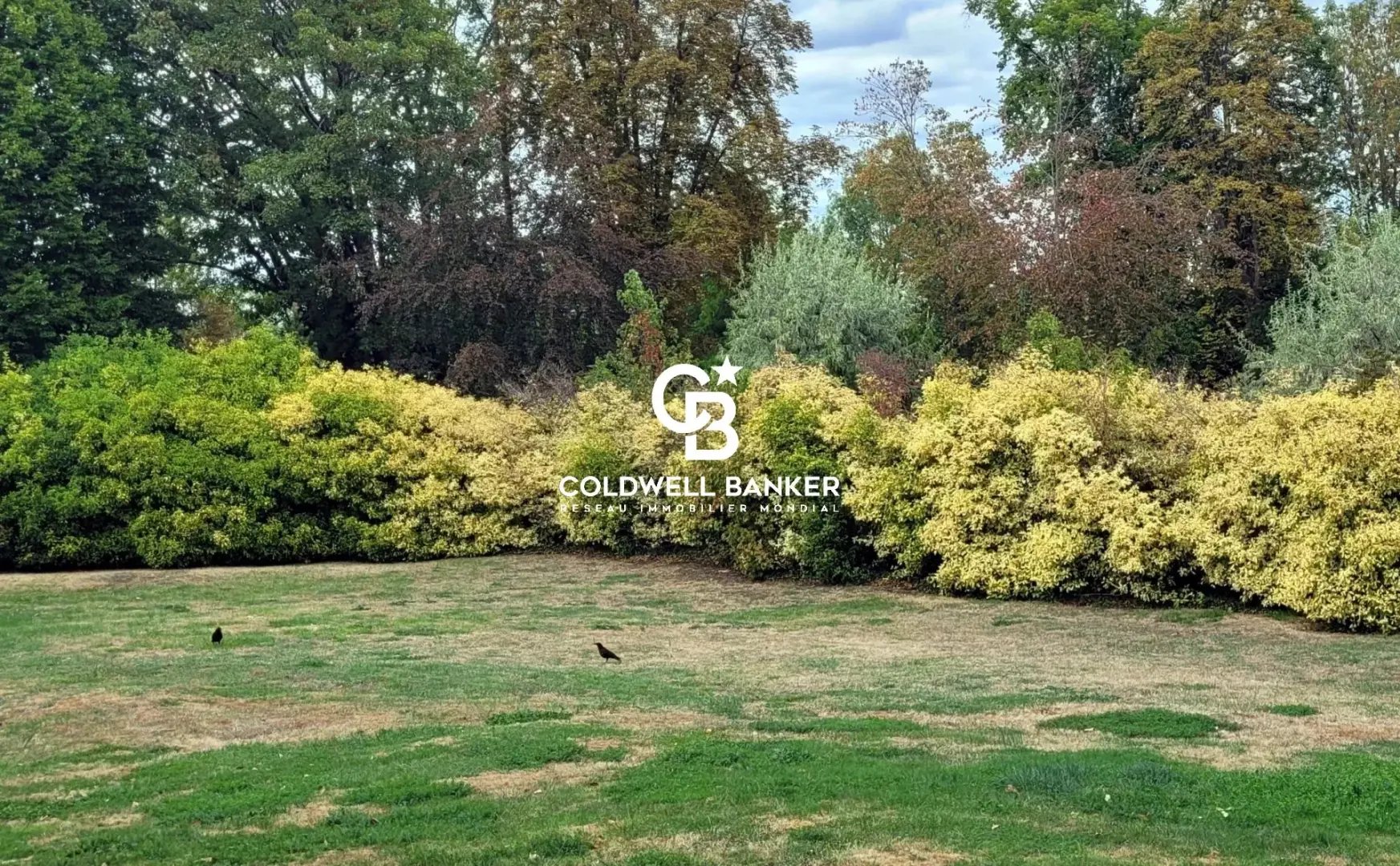 Appartement à vendre, 106m², Boulogne-Billancourt