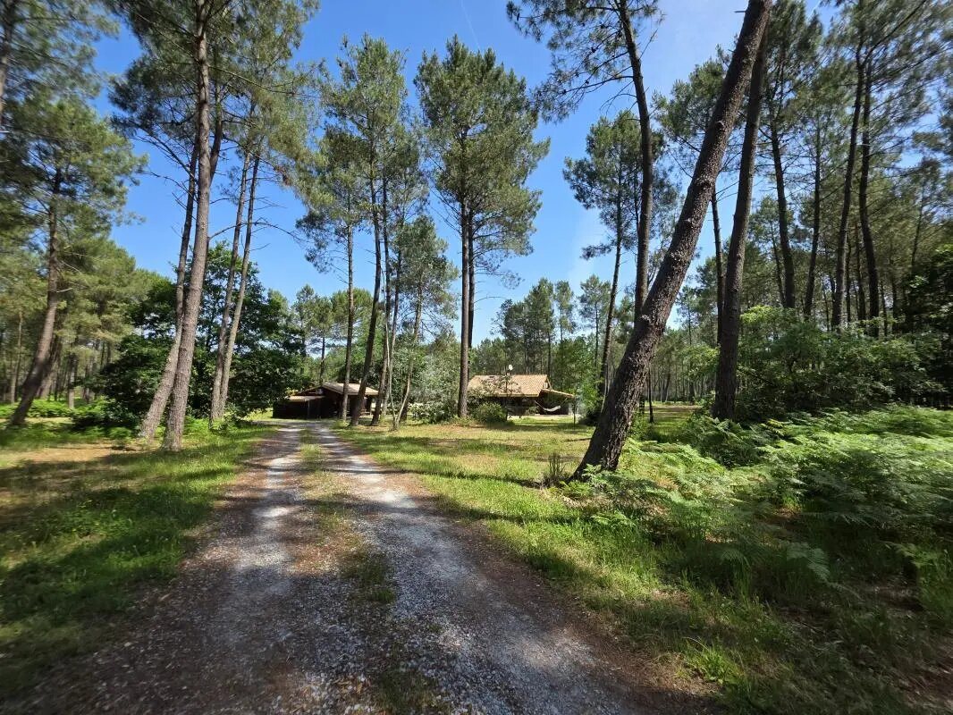 Maison à vendre, 800m², Biscarrosse