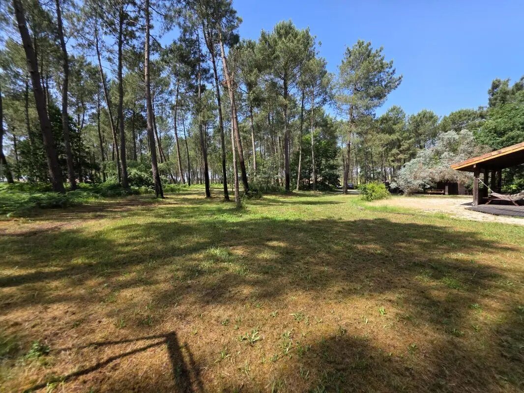 Maison à vendre, 800m², Biscarrosse