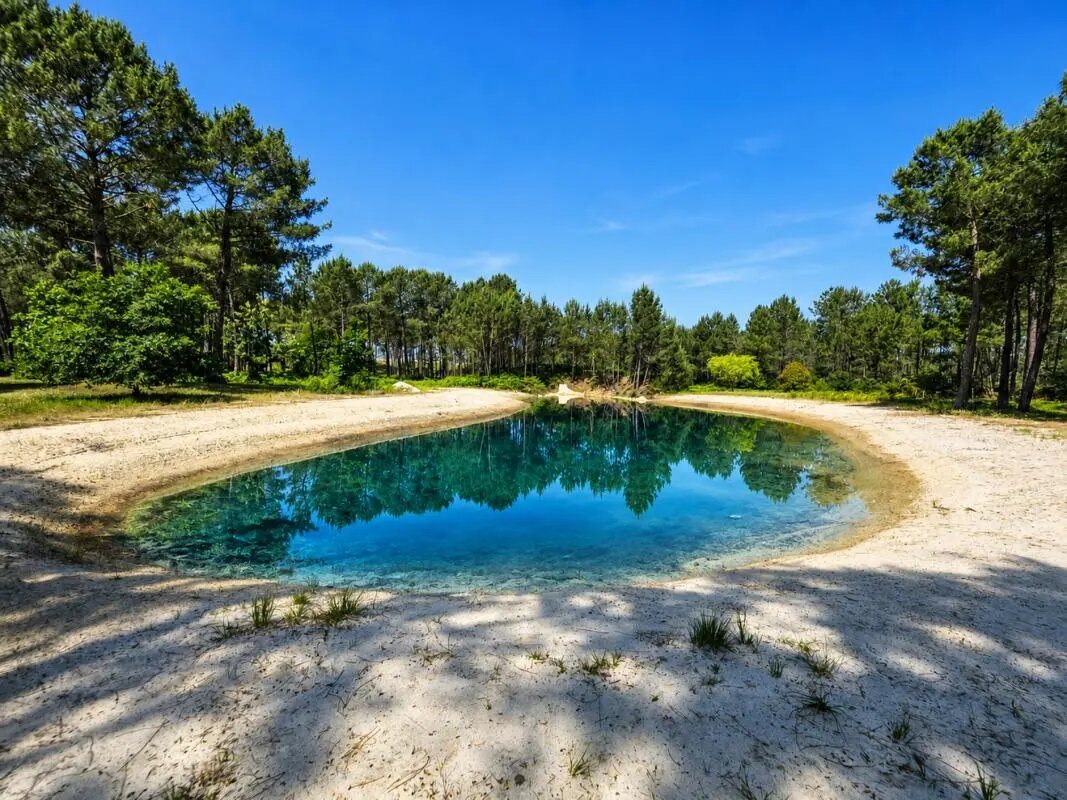 Maison à vendre, 800m², Biscarrosse