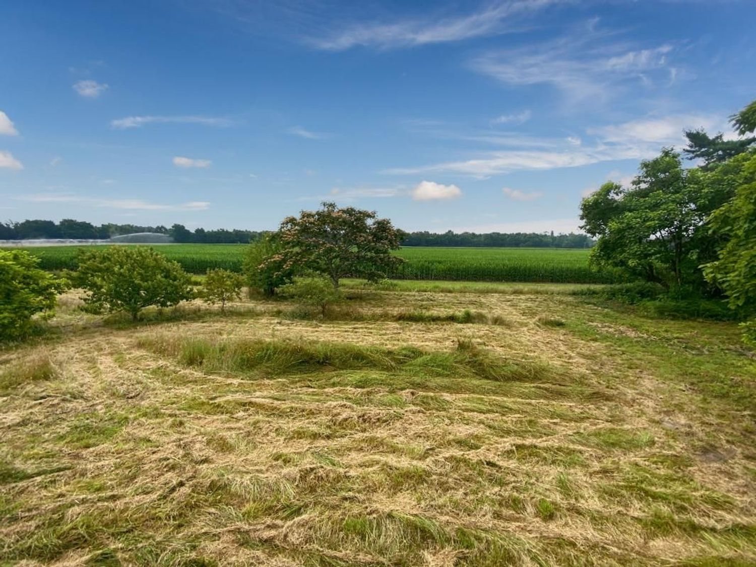 Maison à vendre, 490m², Uchacq-et-Parentis