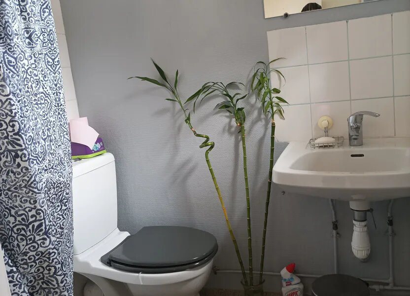 Appartement à louer, 26m², Clermont