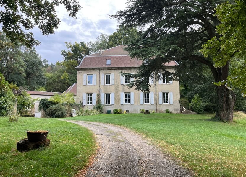 Maison à vendre, 716m², Moras-en-Valloire