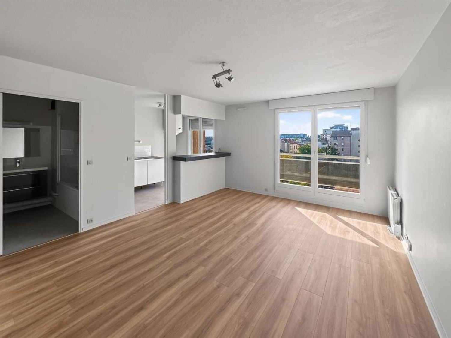 Appartement à vendre, 31m², Villeurbanne