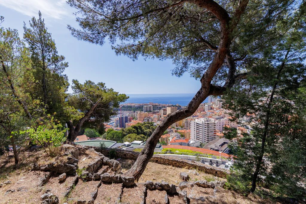 Maison à vendre, 720m², Beausoleil