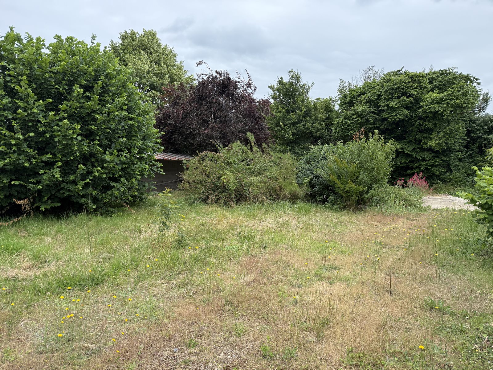Maison à vendre, 500m², Roches-Prémarie-Andillé