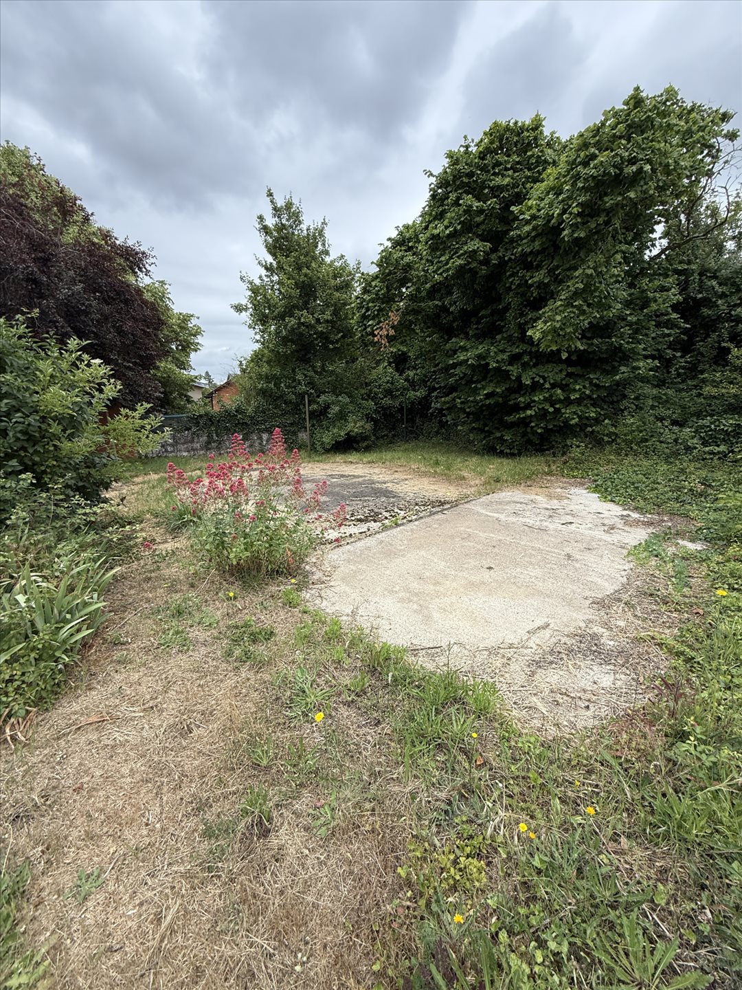 Maison à vendre, 500m², Roches-Prémarie-Andillé