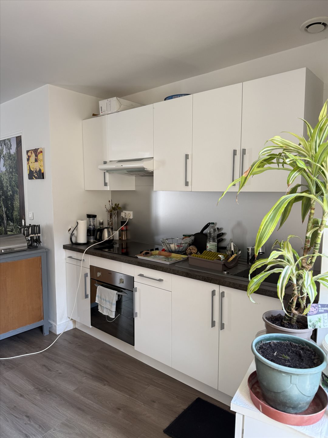 Maison à vendre, 105m², Roches-Prémarie-Andillé