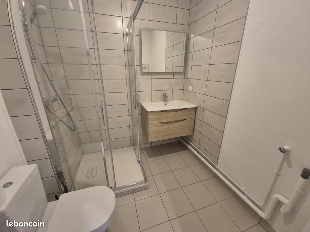 Appartement à louer, 30m², Nancy