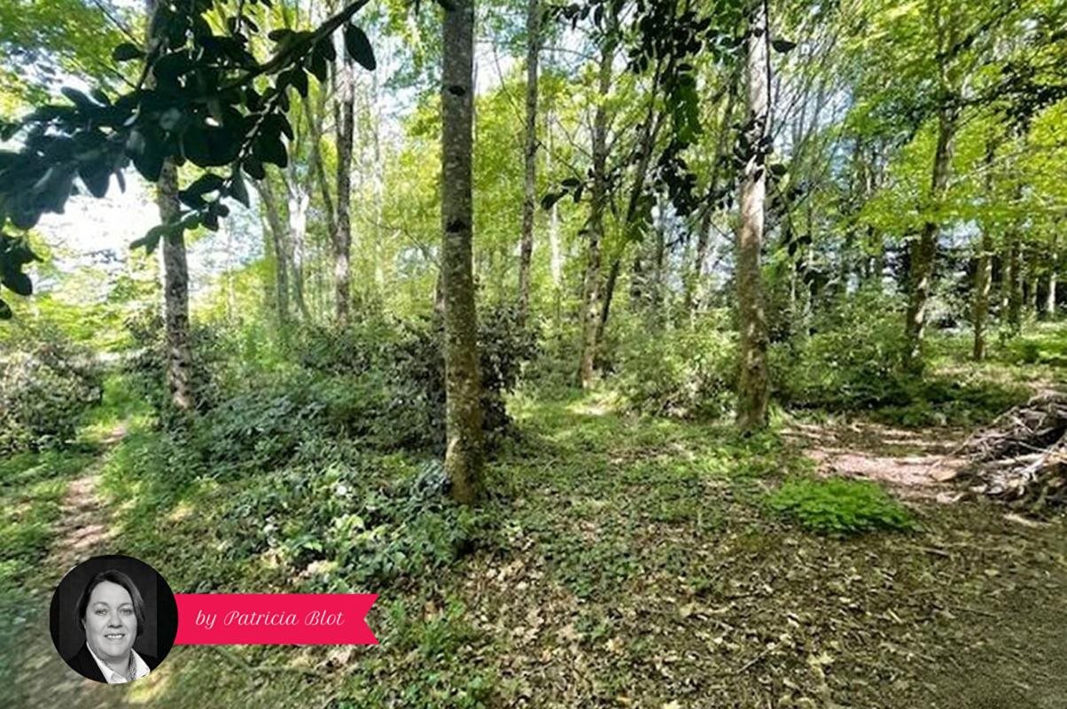 Maison à vendre, 149m², Pluherlin