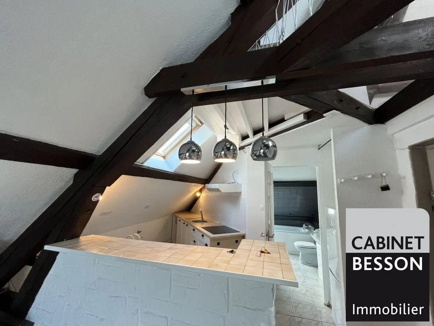 Appartement à louer, 19m², Grenoble