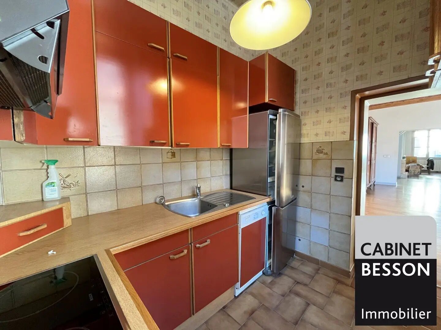 Appartement à vendre, 145m², Grenoble